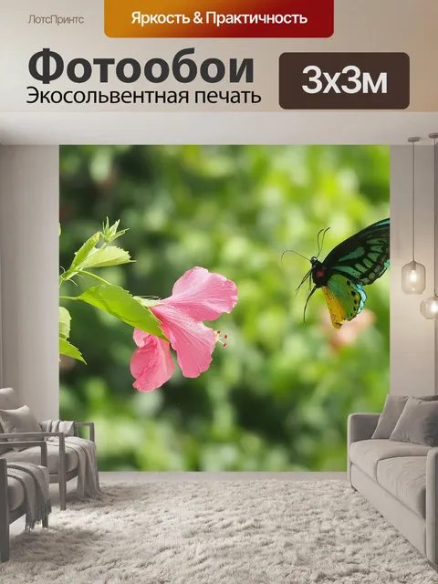 Фотообои Гибискус