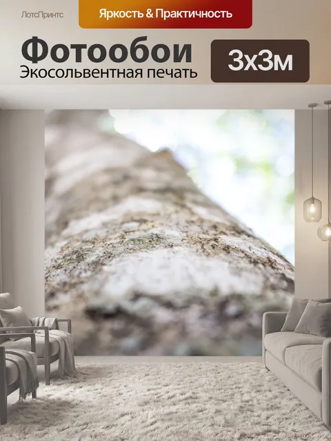 Фотообои Высота