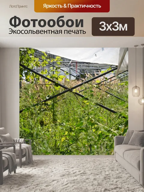 Фотообои Заброшенная теплица
