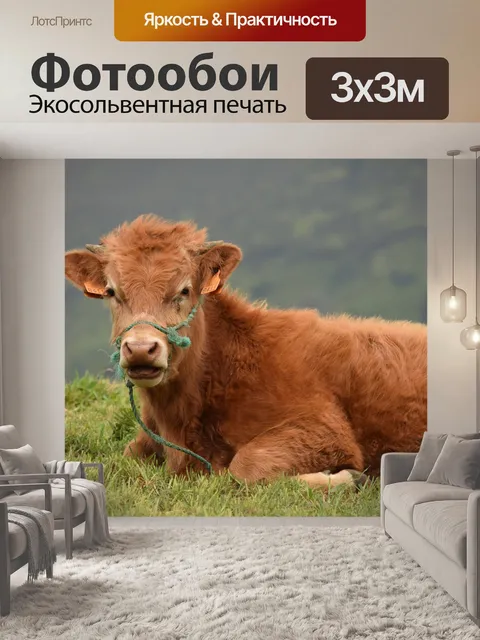 Фотообои Телец