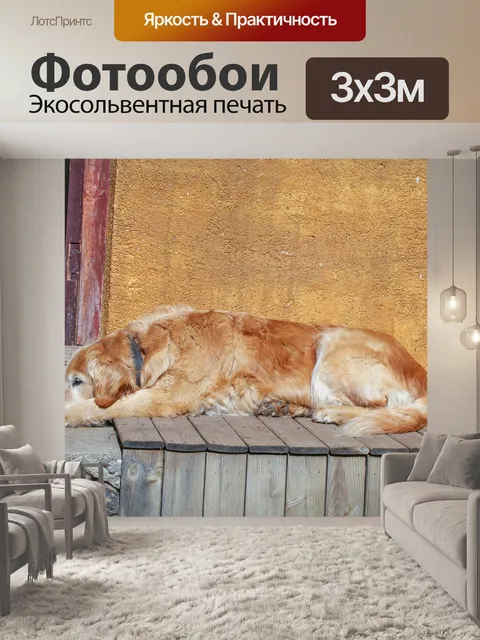 Фотообои Собака