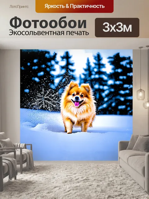 Фотообои померанский шпиц, стоящий на густом слое свежевыпавшего снега, с радостью запускает снежную массу в воздух