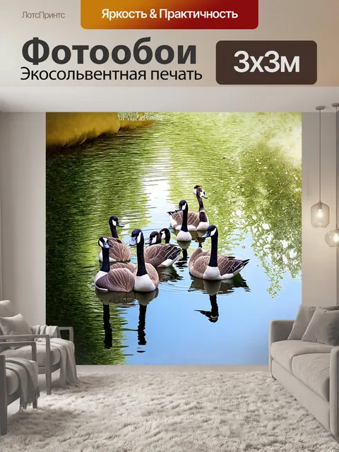 Фотообои стая гусей, плавающая по зеркальной поверхности пруда, их отражения идеально повторяются в воде, создавая…