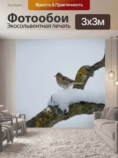 Фотообои Птица