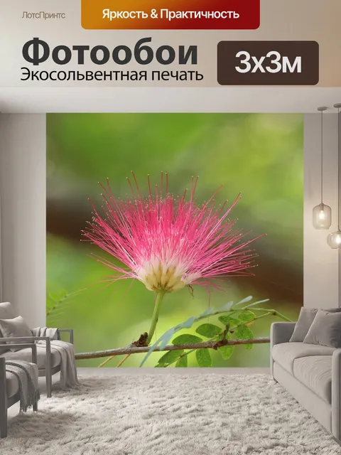 Фотообои Цветок