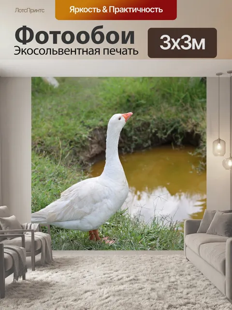 Фотообои Гусь