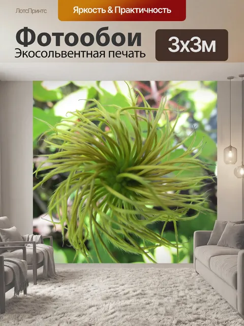 Фотообои Зеленая спираль Цветочный