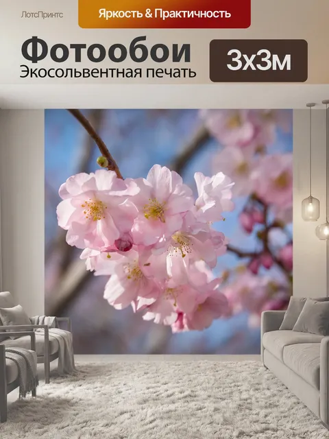 Фотообои Японская сакура