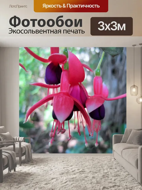 Фотообои Розовый и фиолетовый фуксия