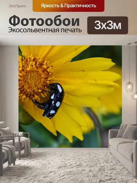 Фотообои Бело-пятнистый жук-жук