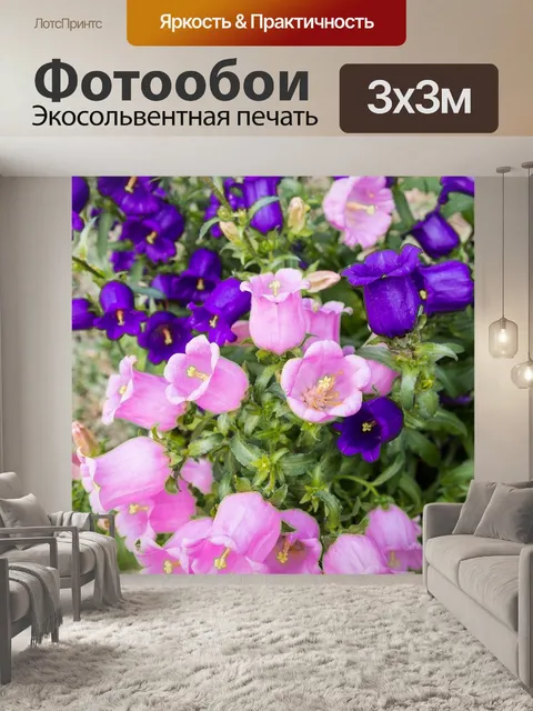 Фотообои Тайвань