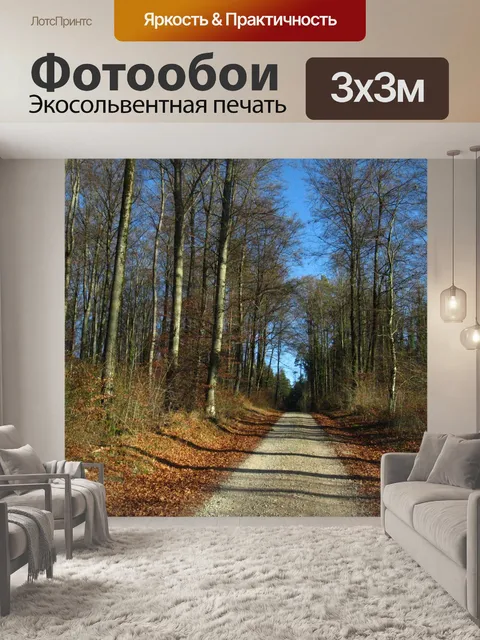 Фотообои Лесная тропа