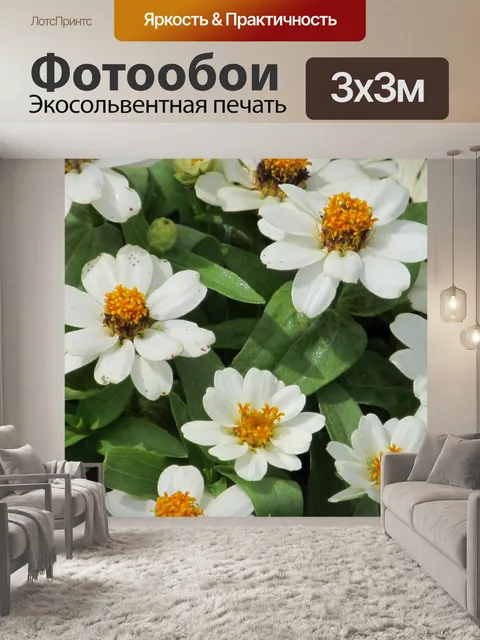 Фотообои Цветы