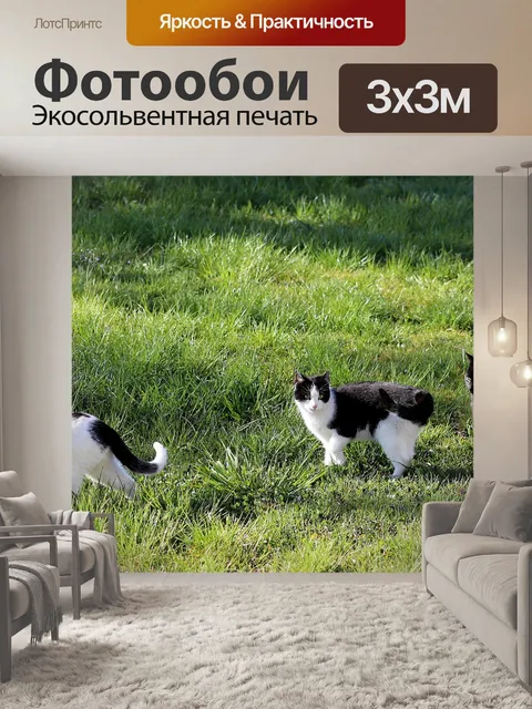Фотообои Кошки