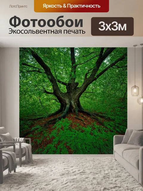 Фотообои лес с порослью и зелеными листвой на фоне старого дерева