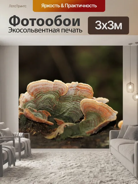 Фотообои Зеленые и оранжевые грибы из хвоста инде