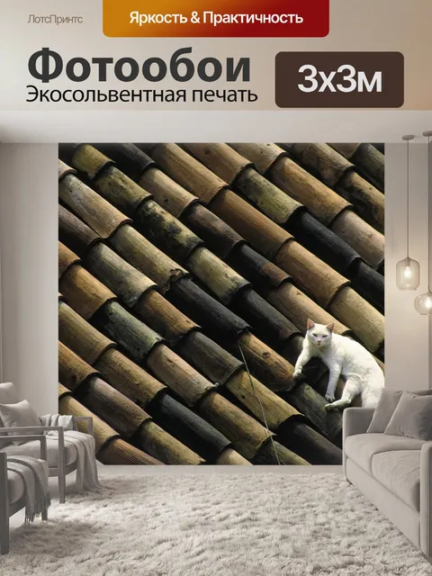 Фотообои Кот