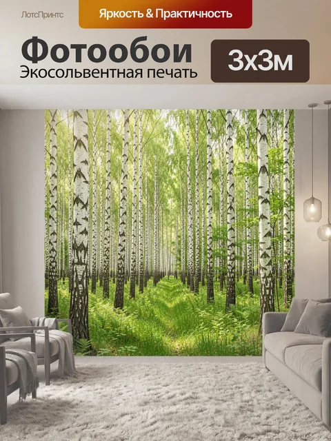 Фотообои Березовая роща с зеленой тропой