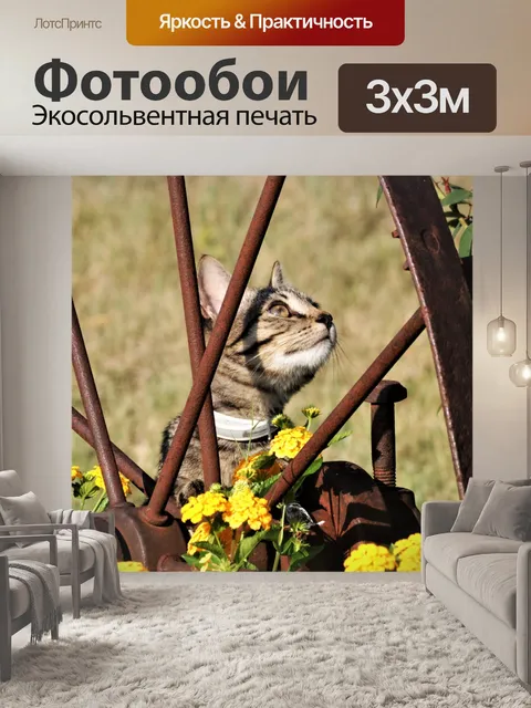 Фотообои Котенок и античное колесо в цветах