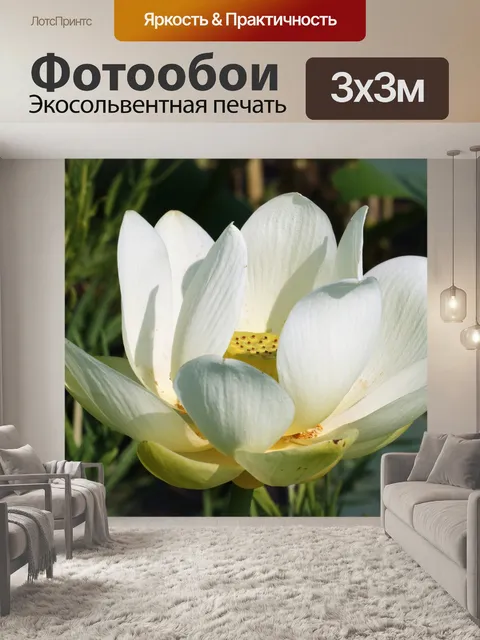 Фотообои Белый цветок лотоса крупным планом