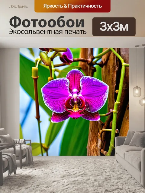 Фотообои орхидея, растущая на дереве, обвита лианами, с яркими, насыщенными цветами
