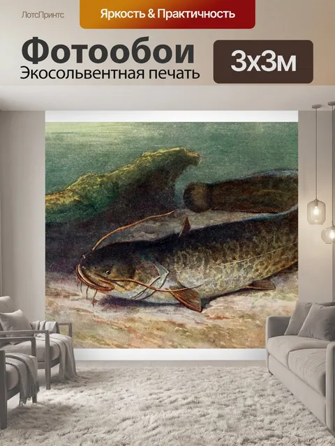 Фотообои Сом пресноводная рыба рыба винтаж