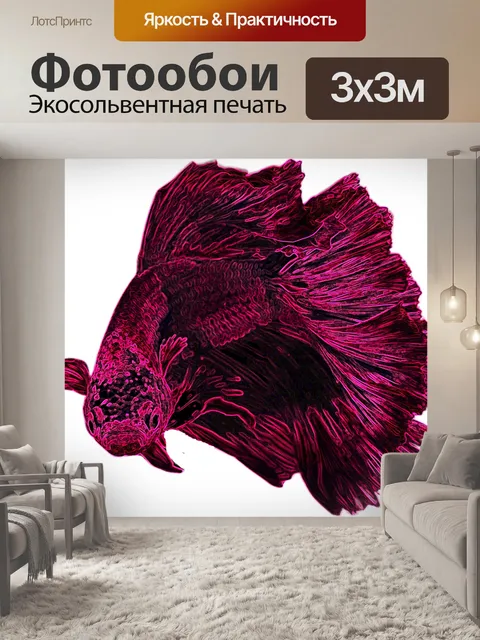 Фотообои Сиамская бойцовая рыбка Бетта