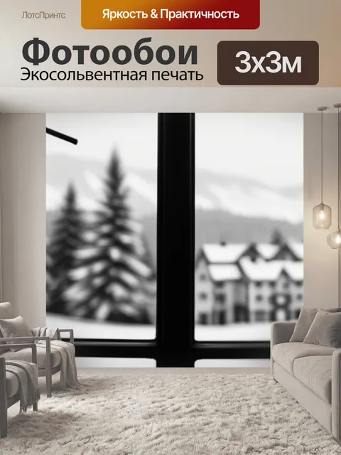 Фотообои зимний пейзаж с окна чернобелый