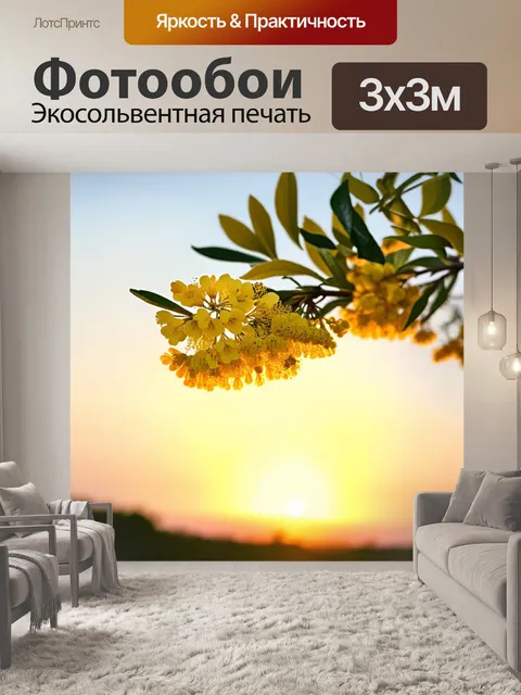 Фотообои мимоза на фоне заката, мягкое освещение придаёт цветку тёплый жёлтый оттенок