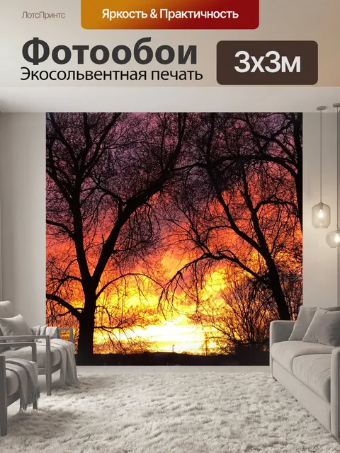 Фотообои Злые деревья на закате