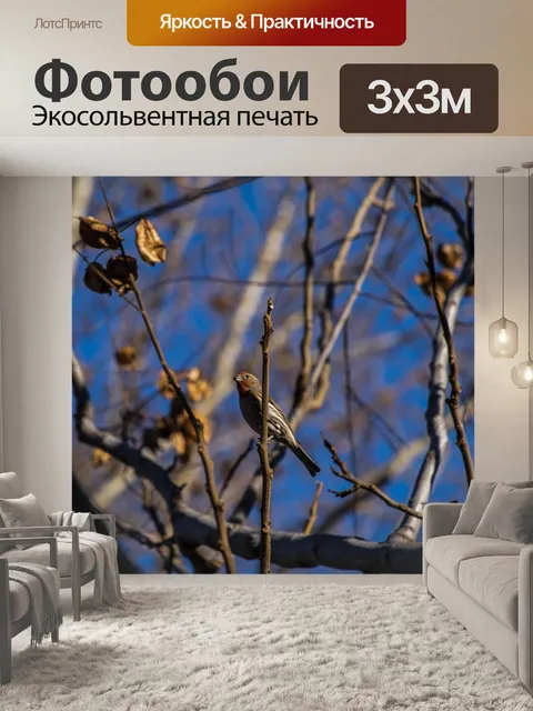 Фотообои Дом Финч на ветке