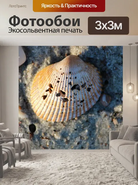 Фотообои Морские раковины 1