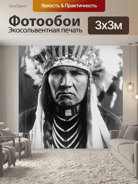 Фотообои Исторический Индийская американский глав