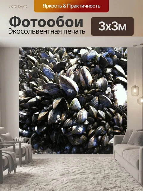 Фотообои Моллюски
