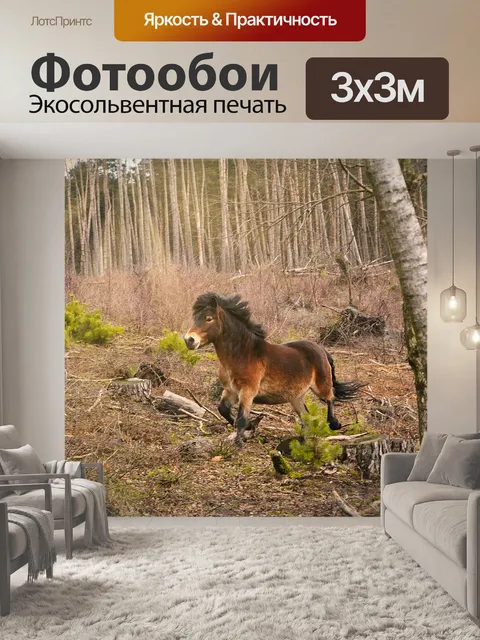 Фотообои Exmoor пони