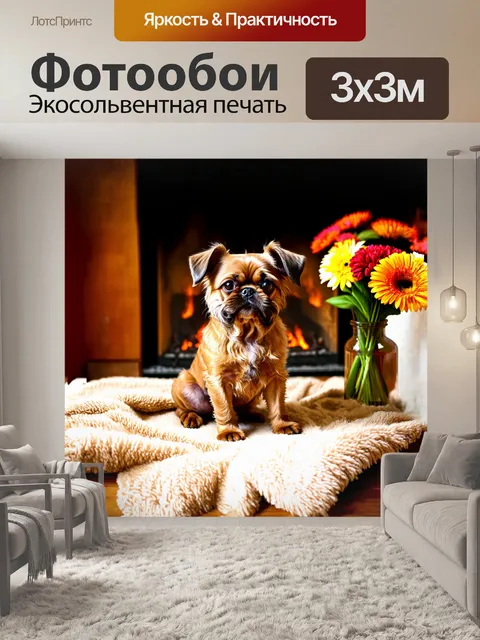 Фотообои очаровательный карликовый гриффон брабантский нежно сидит на уютном пледе у камина
