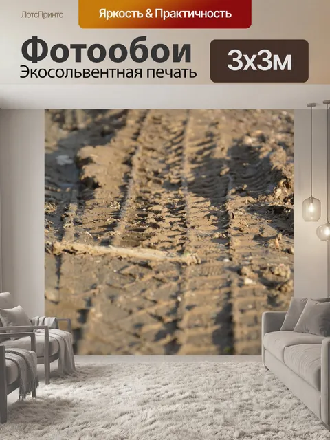 Фотообои Шина треки