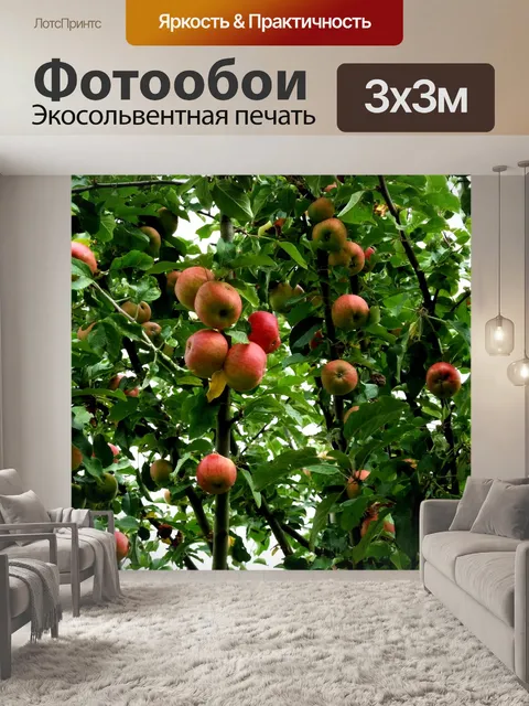 Фотообои Яблоня