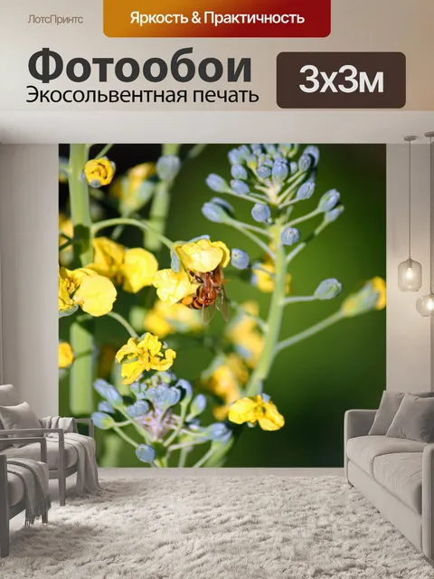 Фотообои Пчела в желтом цветке брокколи
