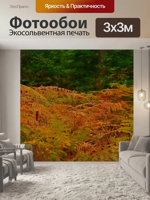 Фотообои Лес