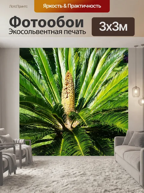 Фотообои Пальма