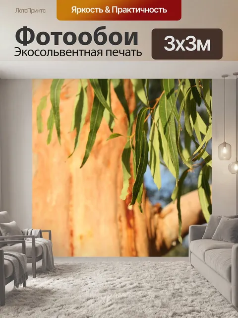 Фотообои Эвкалипт