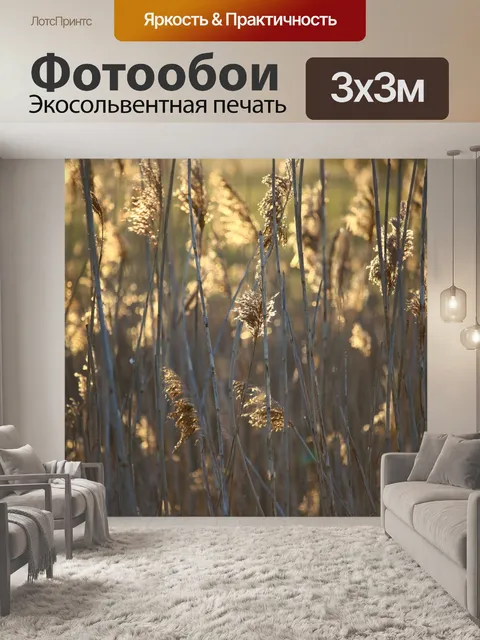 Фотообои Тростник