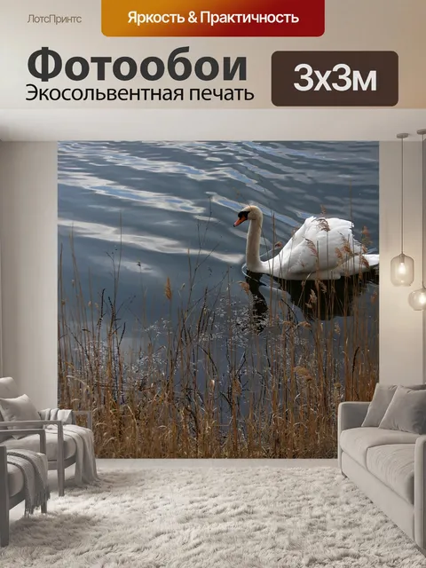 Фотообои Лебедь