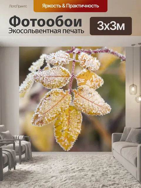 Фотообои Морозный