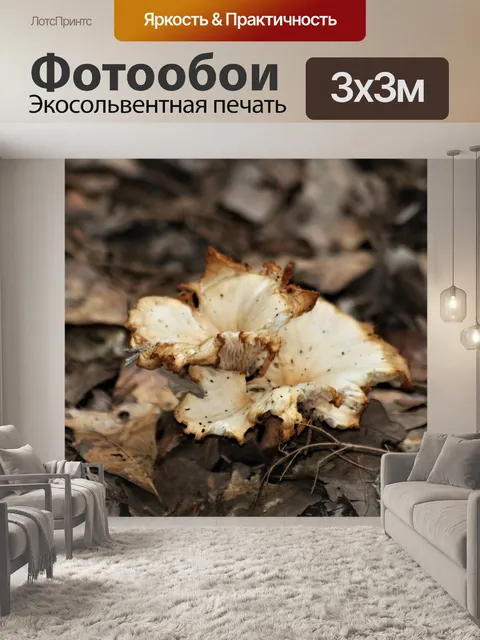Фотообои Белый гниющий гриб в листьях