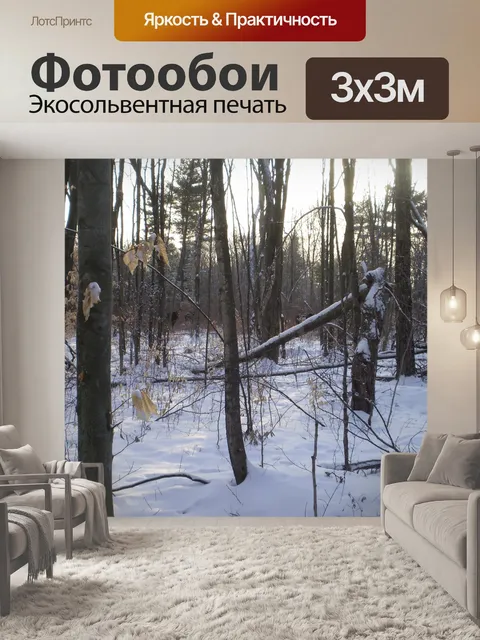 Фотообои Лоси в лесу