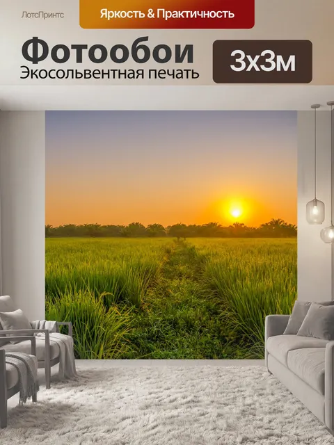 Фотообои Рисовое поле