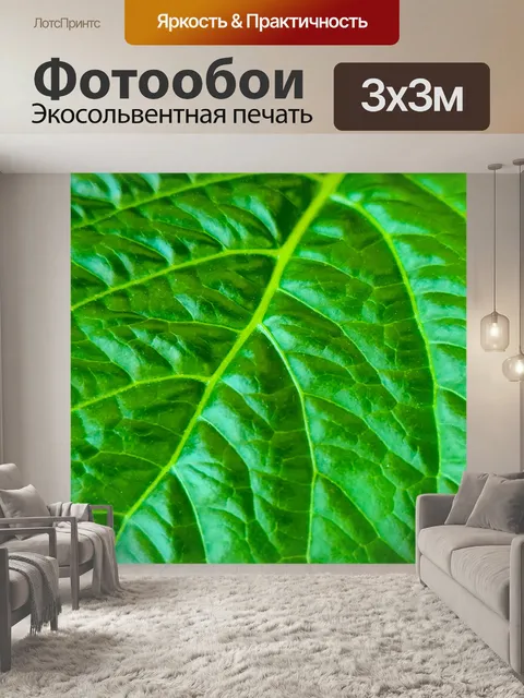 Фотообои Макрос зеленого листа