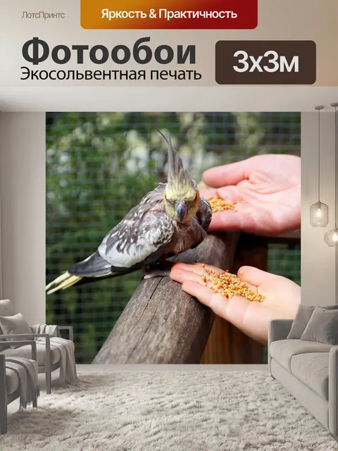 Фотообои Птица